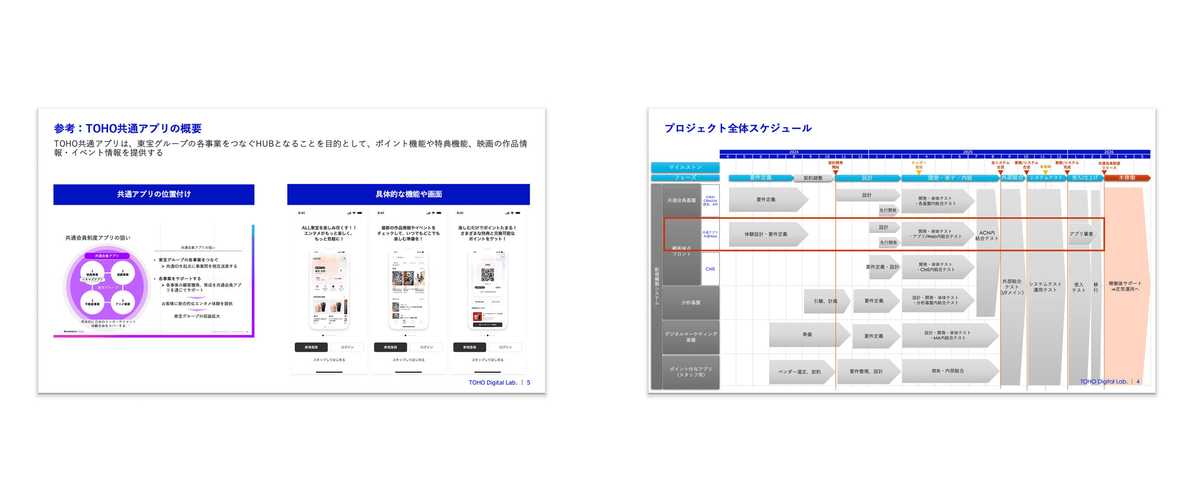 Project Overview